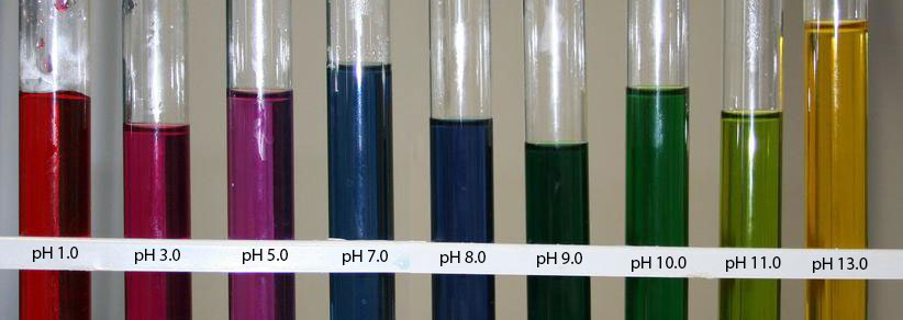 pH-antociani